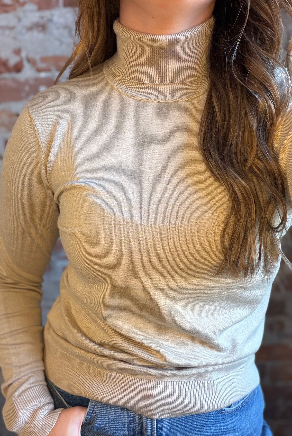 Charise Roll Neck Tops-Sweaters-be young-The Funky Zebra Ames, Women's Fashion Boutique in Ames, Iowa
