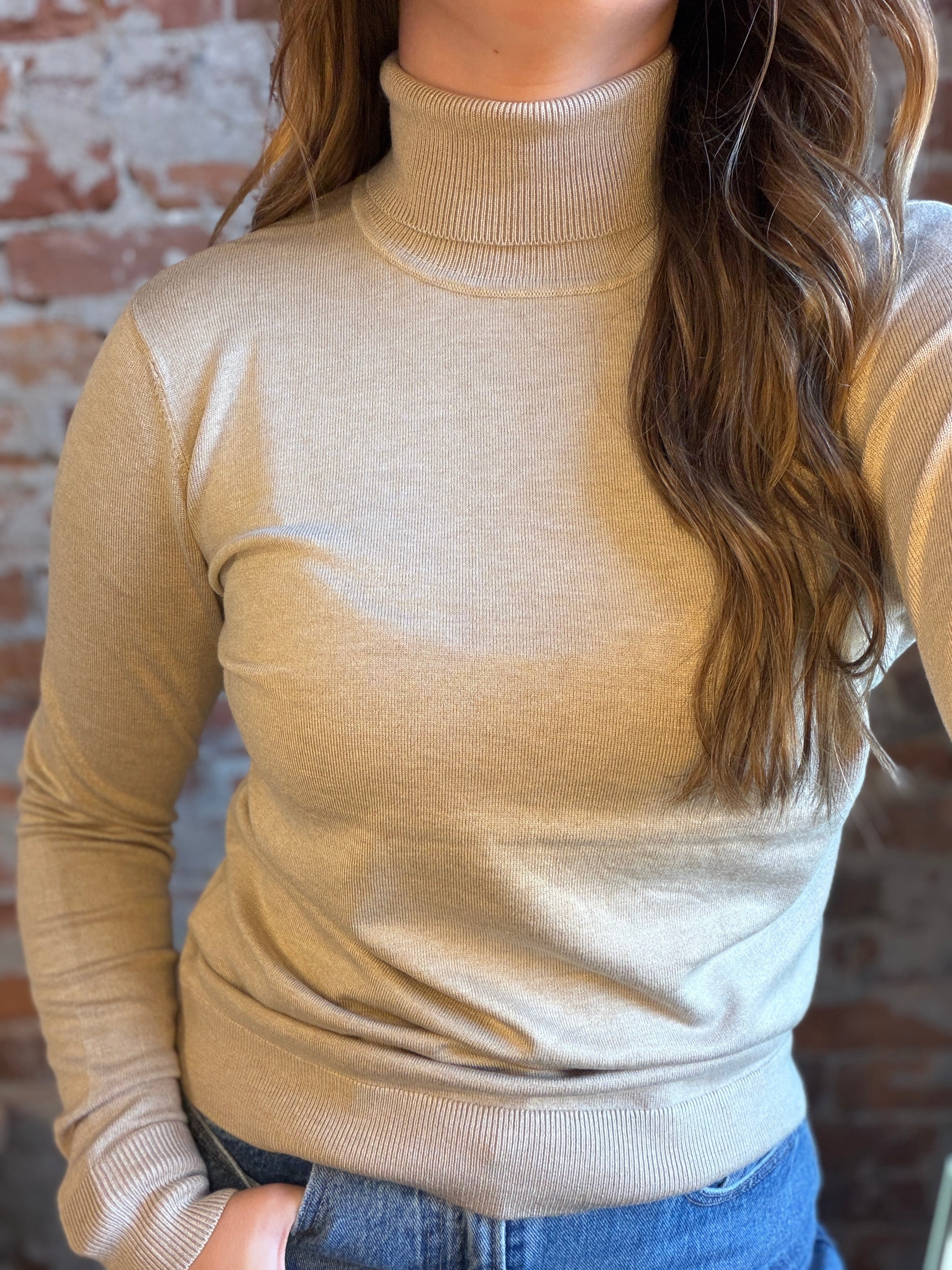 Charise Roll Neck Tops-Sweaters-be young-The Funky Zebra Ames, Women's Fashion Boutique in Ames, Iowa