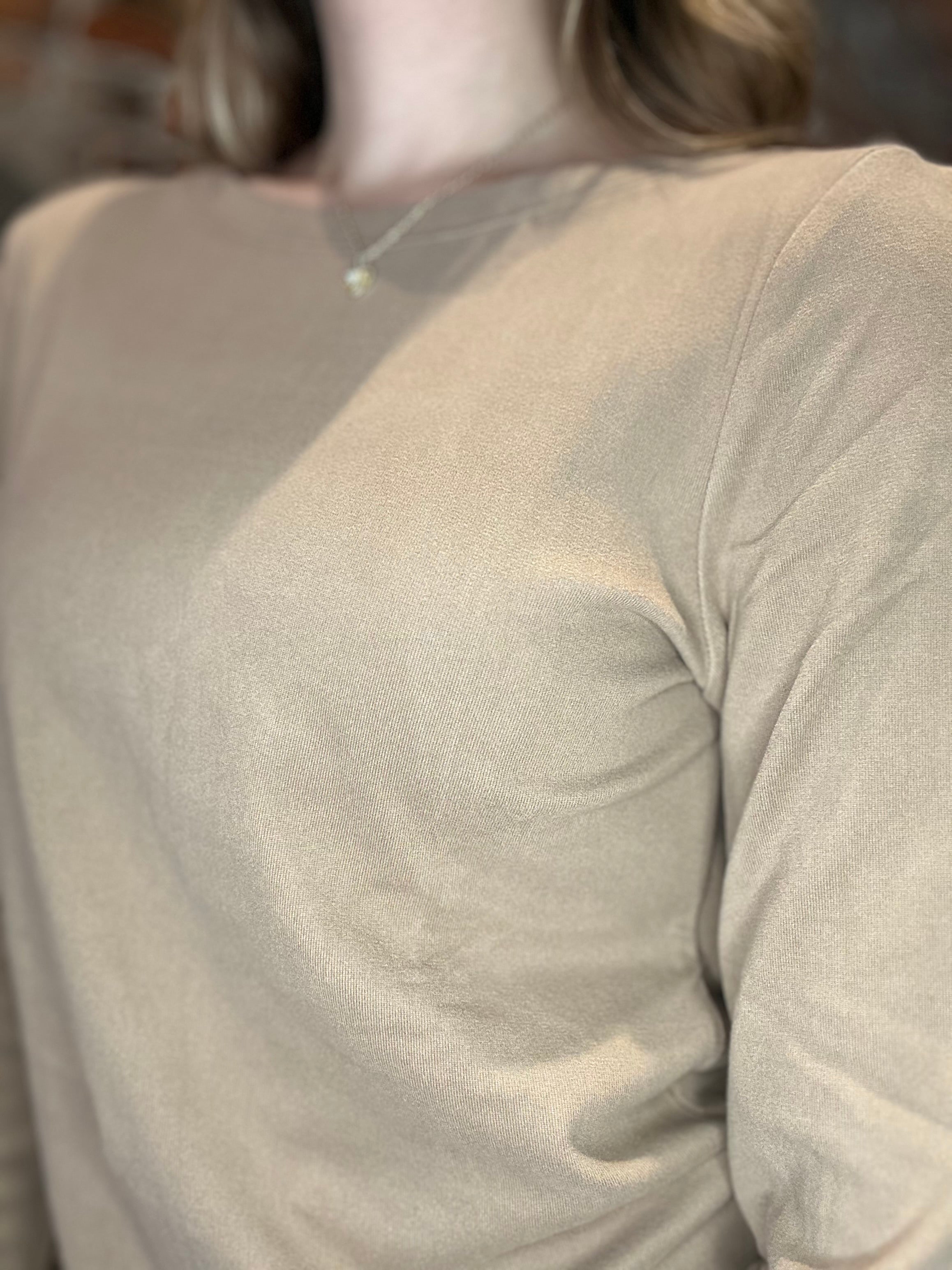 Molly Micro Brushed Top-Long Sleeves-Staccato-The Funky Zebra Ames, Women's Fashion Boutique in Ames, Iowa